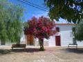 Parque de la Iglesia